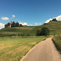 Blick auf das Schloss Ortenberg