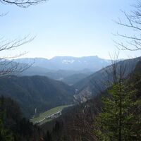 Türnitzer Höger