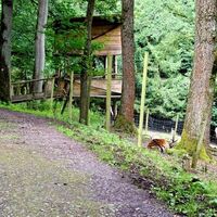 Aussichtskanzel und Wildfütterung