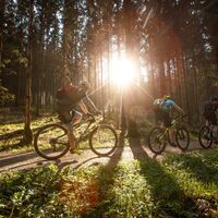 Mountainbiken in Neufelden