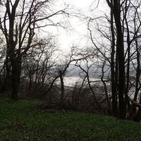 Abstieg zur Burg Greifenstein