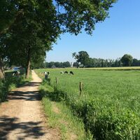 Teilabschnitt des Weges