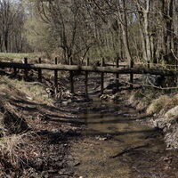 Hütteldorf - Lainzer Tiergarten - Liesing