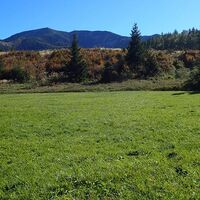 Rückweg entlang B21