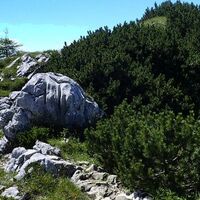 Übergang vom Gipfel Traunstein