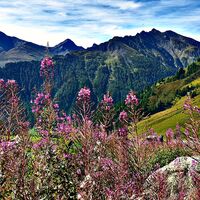 Alp Bella