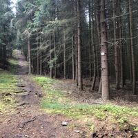 Abzweig zur Grießbacher HHöhe