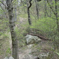 Aufstieg am Eichenleitenberg