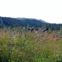 Naturpark Ötscher-Tormäuer