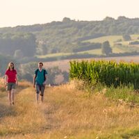Unterwegs auf der Traumschleife Hirn-Gallenberg-Tour