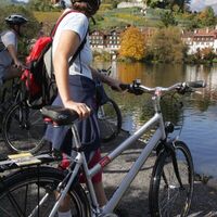 Beim Werdenberger-See