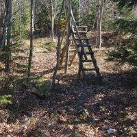 Aufstieg Richtung Handlesberg