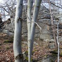 Felsgebilde östlich der Hirschwand