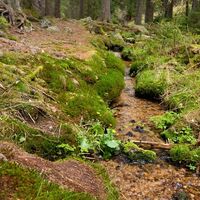 An der Elzquelle