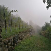 von nun an gehts bergab! Wieder zum Ausgangspunkt