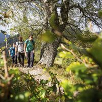 Wandern Menzenschwand