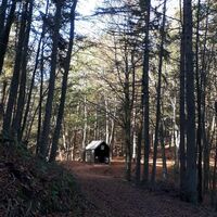 Schutzhütte Richtung Hauenstein