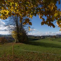 Wahlern - Alte Jakobswegroute