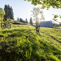 Raimartihof Feldberg