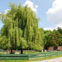 Tierpark Mingolsheim