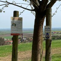 Kleinfahner - Alte Obstsorten - Neu aufbereitet
