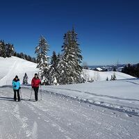 Winterwandern am Brüggelekopf