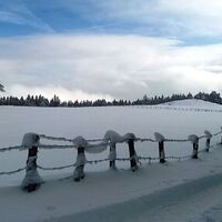 Im Schnee auf die Packeralpe