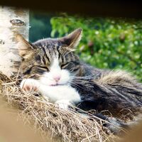 Auch ICH mache URLAUB in der BUCKLIGEN WELT,... (Copyright: Karl Gradwohl)