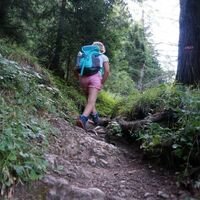 3-Tages-Familientour Auftieg im Wald