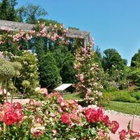 DIE GARTEN TULLN © Donau Niederösterreich