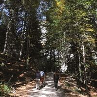 Maiereck Wegpassage vor dem Schleiergraben