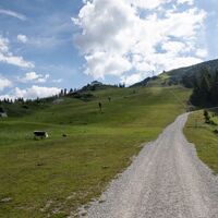 Biketour zur Rosshütte