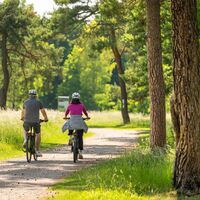 Radfahrer am Schlangenberg