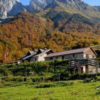 Blässhuhn-Alm