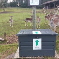 Damwildgehege mit Futterbox