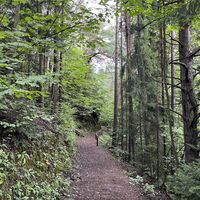 .. dann unter der Bahntrasse durch und auf Waldweg weiter