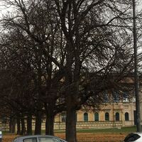 Old Pinakothek