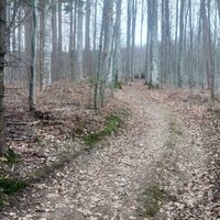 Weißn Trail - Nußbach