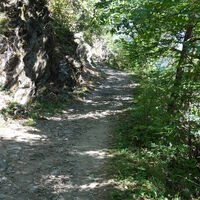 am Fitnessweg zum Gh. Tiroler Kreuz