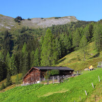 Karseggalm