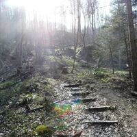 Weg zur Ruine Gutrat