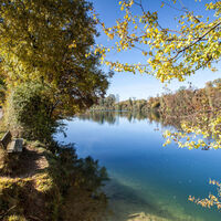 mellikon-wandern-am-hochrhein