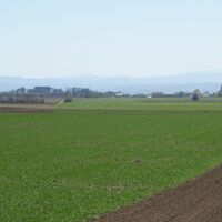Blick nach Stetteldorf