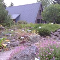 Motiv im Rennsteiggarten