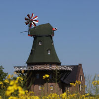 Windmühle bei Holtum