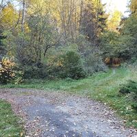 67.3 km Auf der Halbinsel beim Fahrverbot rechts in den Trail