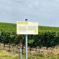 Weinriedenweg