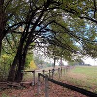 Genusswanderung