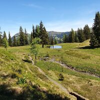 11.2 km Sumpfwiesen mit Teich