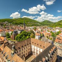 Blick auf Neustadt an der Weinstrasse
